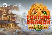 Fortune Dragon™