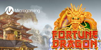 Fortune Dragon™