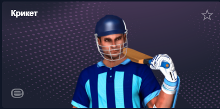 Крикет в виртуальном спорте