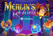 Merlin's Beard slot game by Yggdrasil