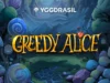 Greedy Alice — обзор слота (Yggdrasil)